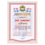 3ème place au concours annuel pour « la meilleure organisation de la protection au travail parmi les entreprises de la ville de Blagovechtchensk » en 2011